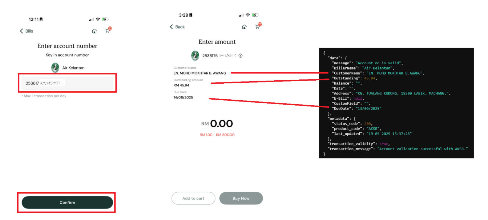 Bill presentment flow showing account entry and bill details from API