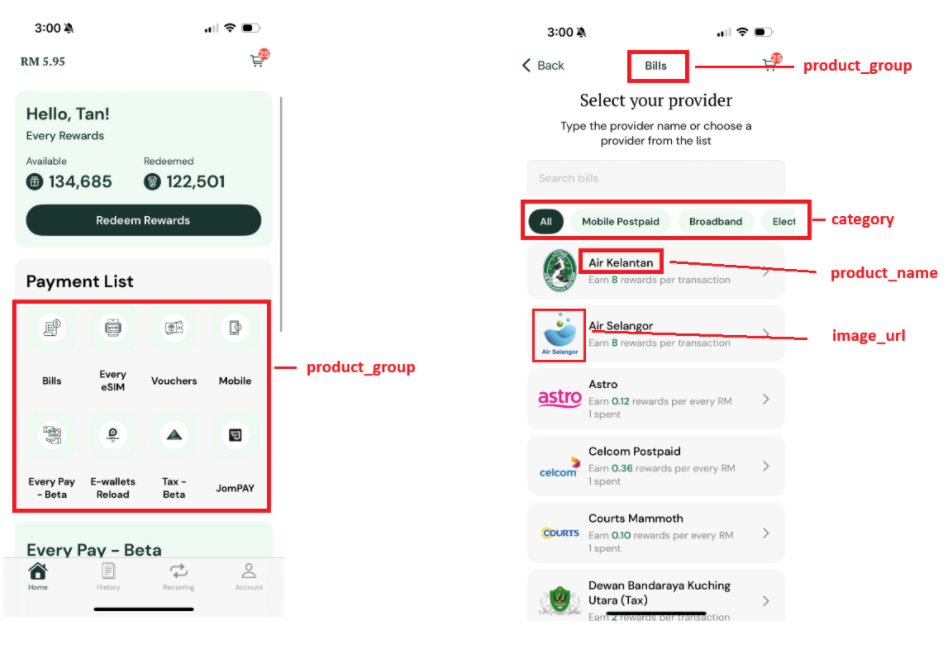 Mobile app showing product_group and category field mapping
